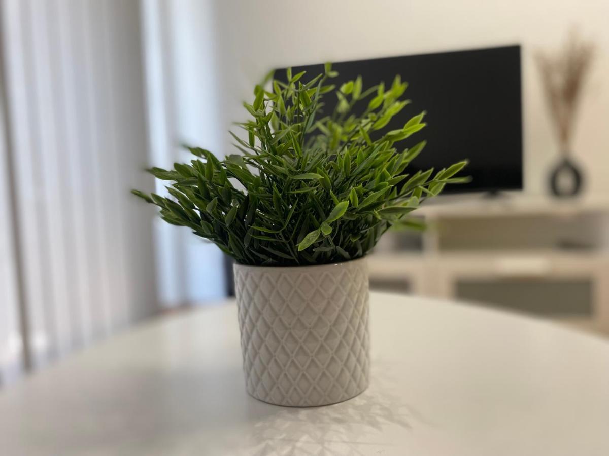 Apartamento Borgia - Gandia Ngoại thất bức ảnh